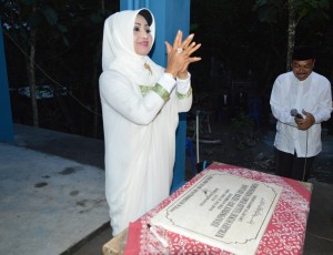 Bupati Karanganyar, Rina Iriani