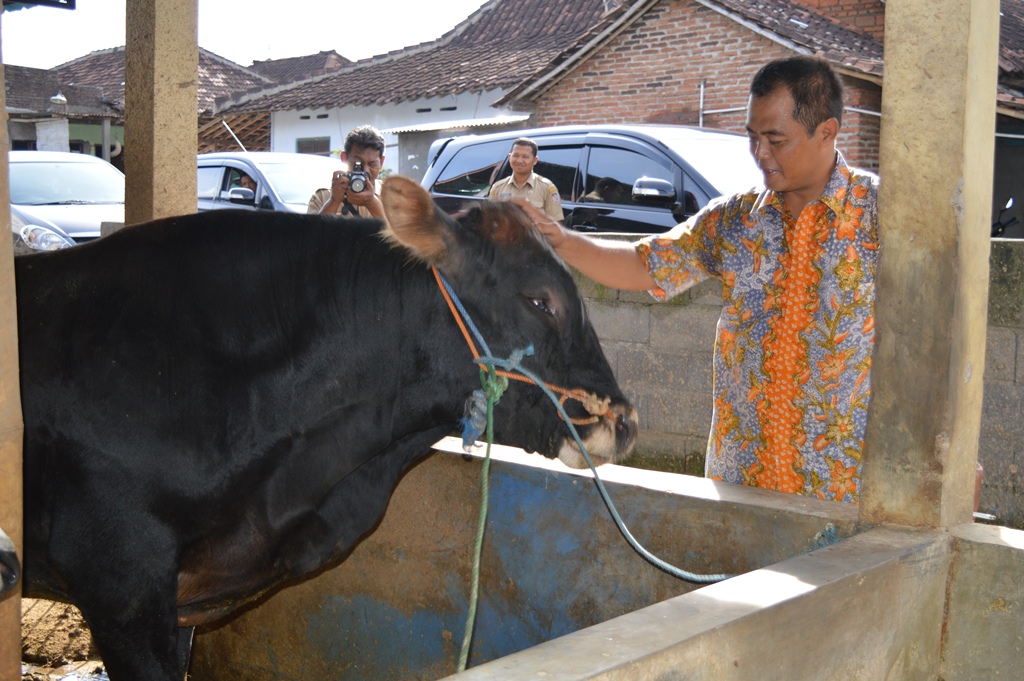 Kelompok Tani Ternak Mendapat mendapat Bantuan dana Hibah