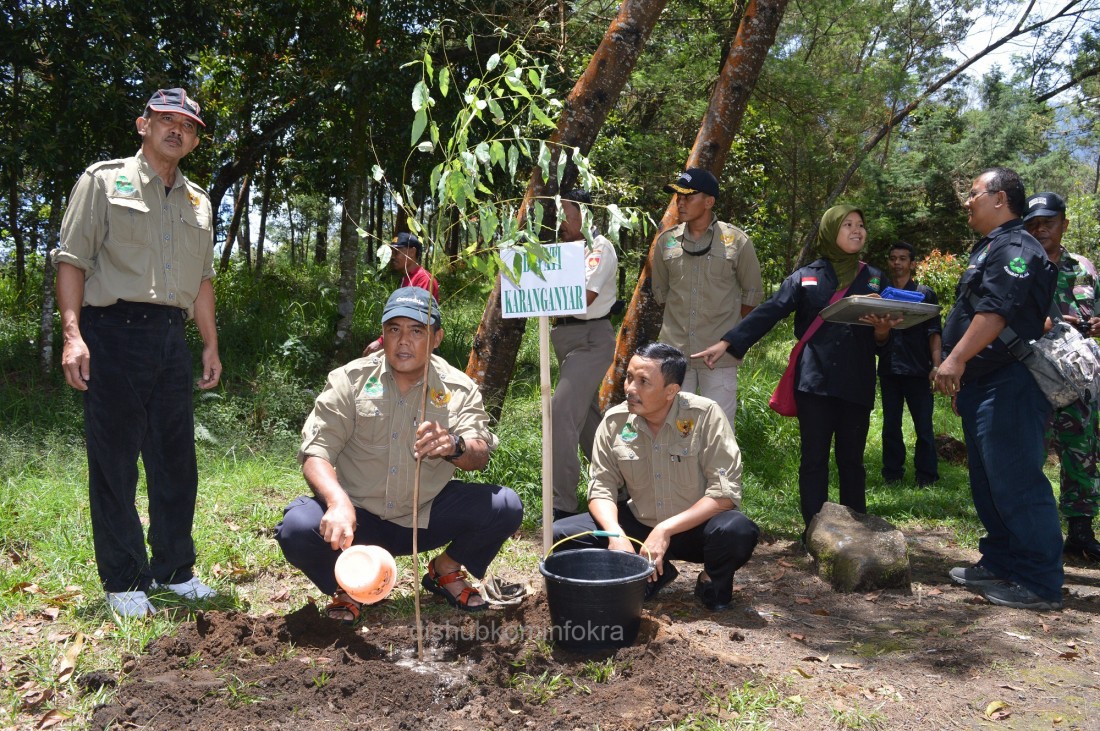 Konservasi Alam, Jalur Pendakian Gunung Lawu Ditanami Pohon