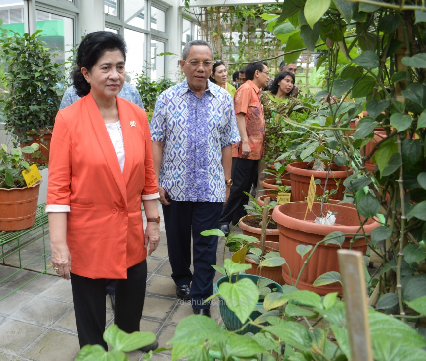 Tumbuhkan Jiwa Wirausaha Dengan Memanfaatkan Tanaman Obat