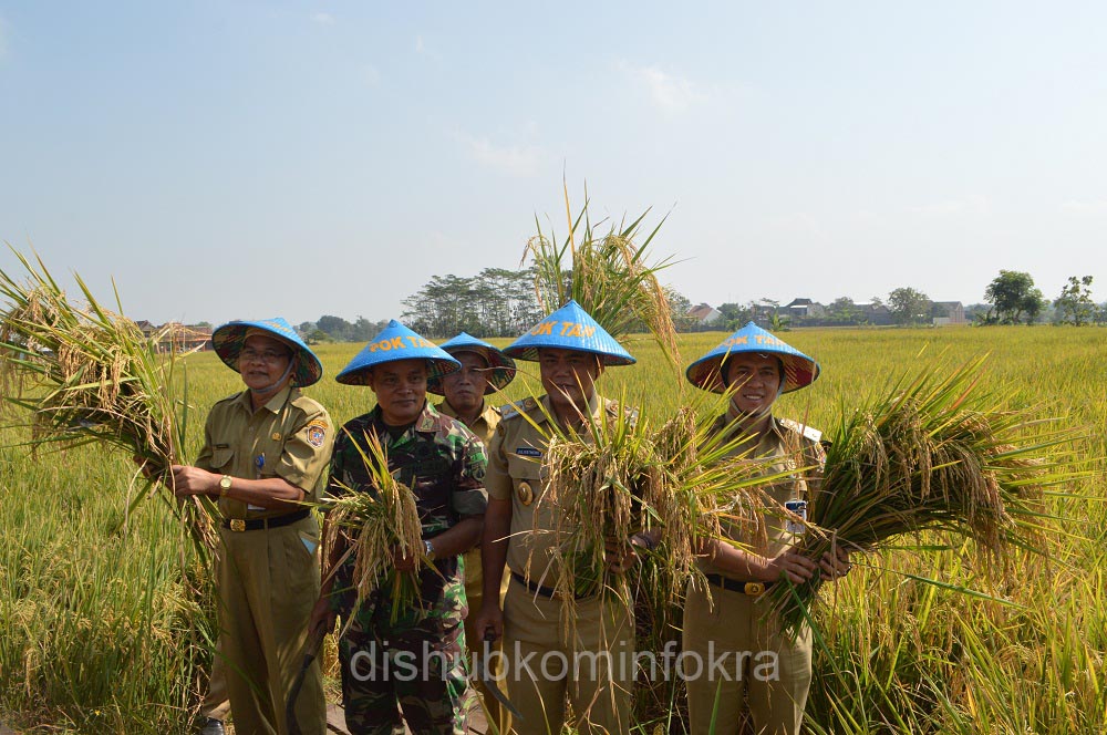 Dengan Mekanisasi Pertanian, Tenaga Kerja Lebih Efisien