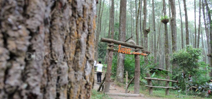 Sekipan Camping Ground