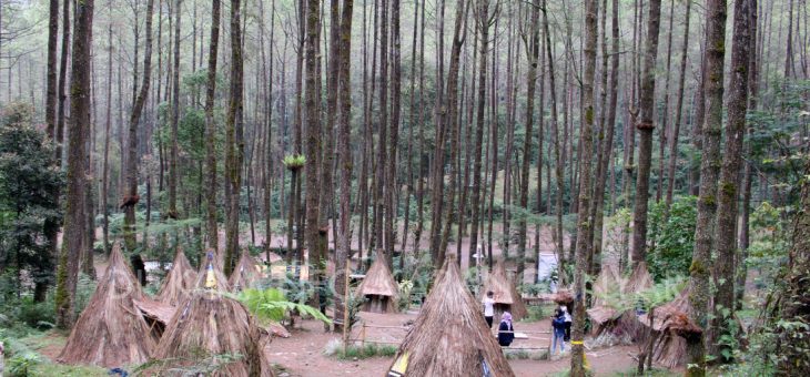 Sekipan Camping Ground