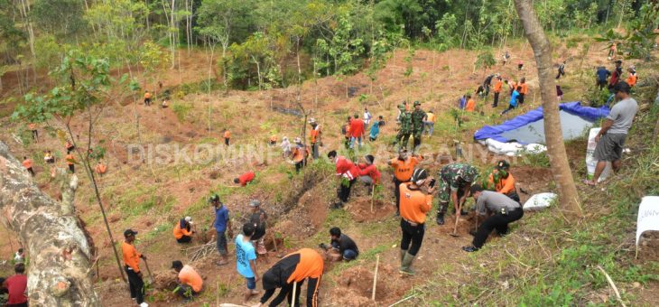 Rencana Wisata Buah, Tanam 3100 Pohon Buah