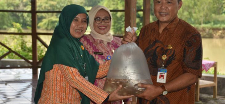 Bantuan 220.000 Ekor Benih Ikan Dari Dinas Kelautan Dan Perikanan Provinsi Jawa Tengah