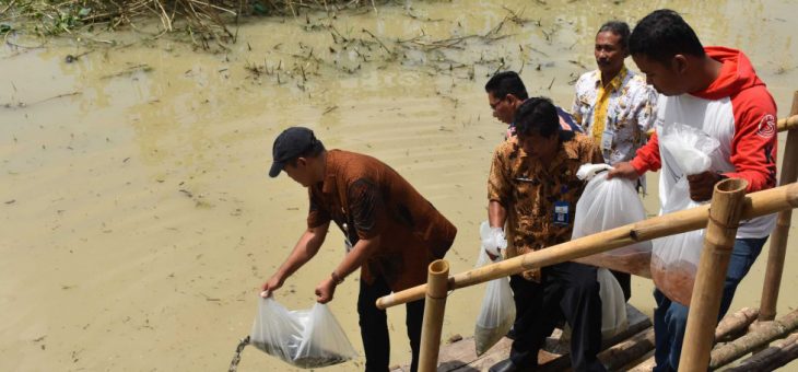 BANTUAN PEMERINTAH : Bupati Karanganyar Tebar 220.000 Benih Ikan di Embung Plalar
