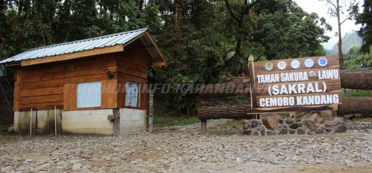 Taman Wisata Sakura Lawu (Sakral)