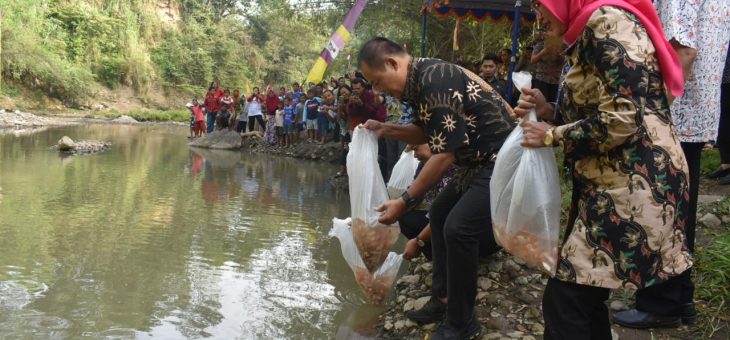 TEBAR RIBUAN IKAN UNTUK JAGA KELESTARIAN ALAM