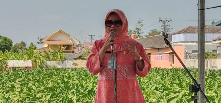 Bantuan Pompa Air Dan Sumur Pantek Bagi Petani Tembakau Di Desa Bolon Kecamatan Colomadu