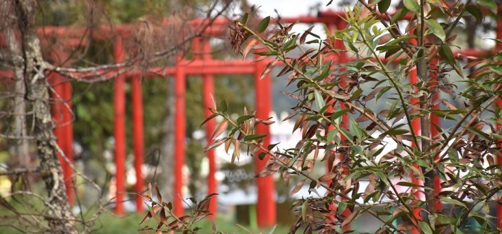 Capacity Building Skill Development Center (SDC) di Harris Hotel