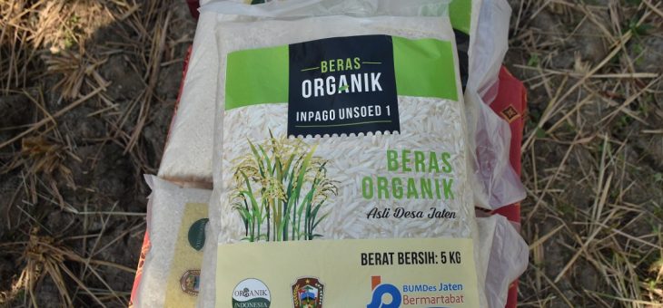 Panen Pertama Beras Organik BUMDes Jaten Bermartabat