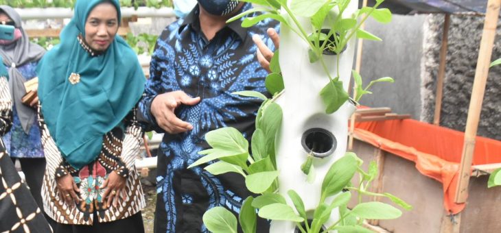 Ditengah Pandemi, Warga Perum UNS V Galakkan Hidroponik dan Microgreen
