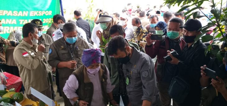 Kunjungan Kerja Menteri Pertanian Ke Desa Kaling, Tasikmadu