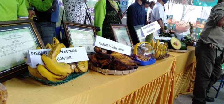 Menteri Pertanian Dorong Sektor Perkebunan Kabupaten Karanganyar Jadi Industri