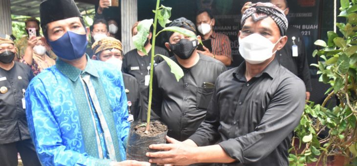 Cegah Buah Impor Kembangkan Buah Lokal, Pakde Manto Berikan 2.100 Bibit Tanaman Buah kepada 7 Kelompok Tani