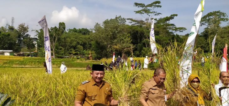 Wakil Bupati Karanganyar Harapkan ‘Virus’ Pertanian Organik Menular ke Seluruh  Bumi Intanpari