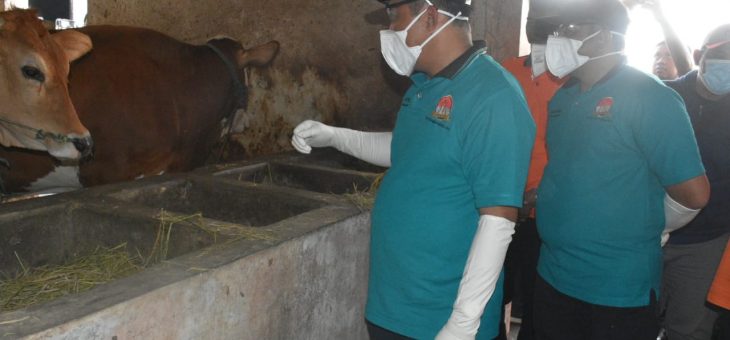 Bupati Karanganyar Melaunching Vaksinasi Penyakit Mulut dan Kuku (PMK)