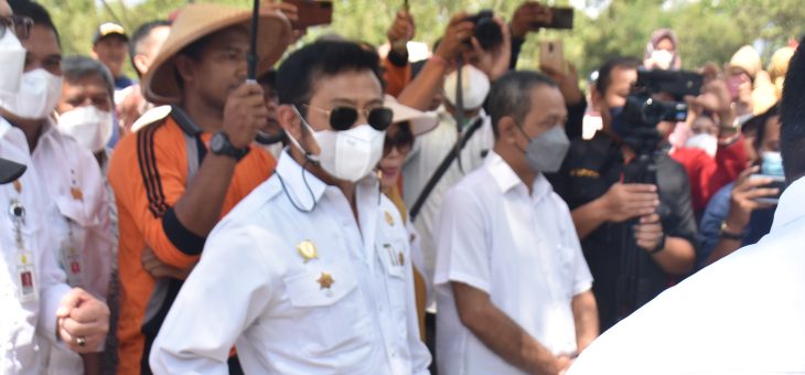 Menteri Pertanian Cek Kesiapan Program Nasional Kelapa Genjah di Gondangrejo