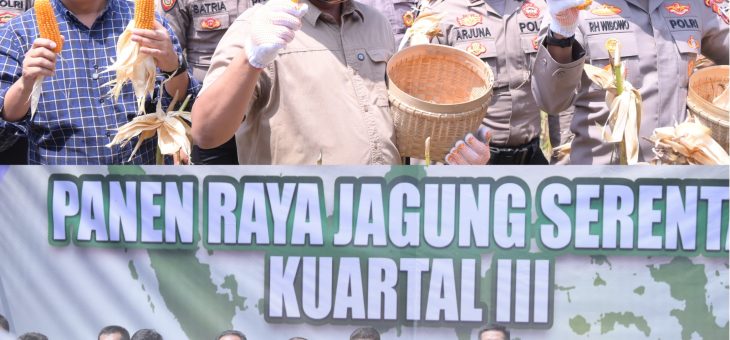 Panen Raya Jagung Serentak Kuartal III di Karanganyar Dukung Swasembada Pangan Nasional 2025